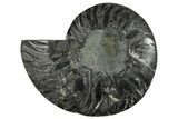 Cut & Polished Ammonite Fossil (Half) - Unusual Black Color #286656-1